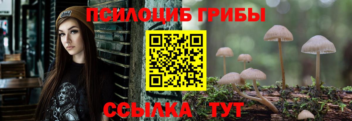 Галлюциногенные грибы MAGIC MUSHROOMS Мичуринск